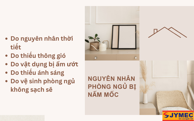 Nguyên nhân phòng ngủ bị nấm mốc