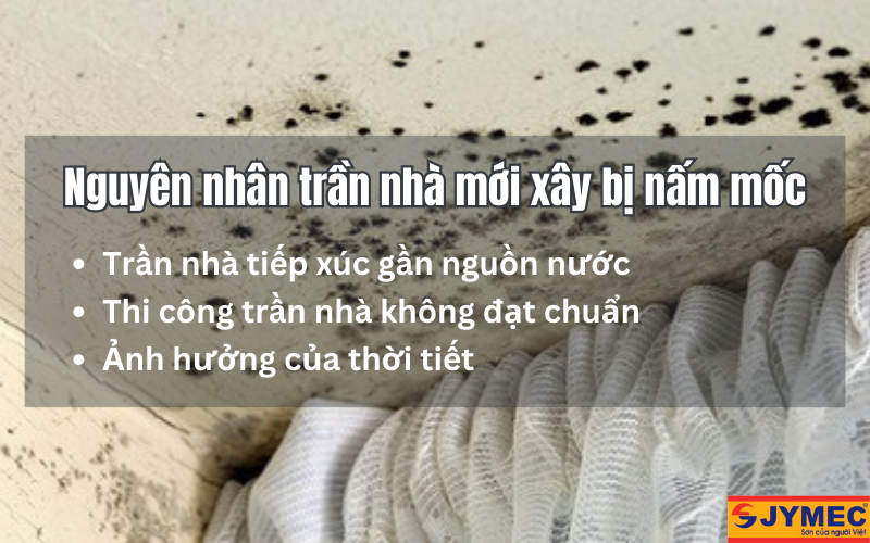 Nguyên nhân trần nhà mới xây bị nấm mốc
