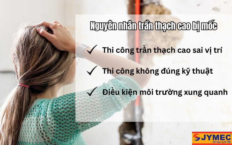 Nguyên nhân trần thạch cao bị mốc