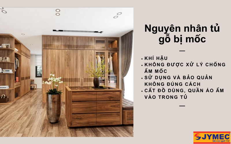 Nguyên nhân tủ gỗ bị mốc