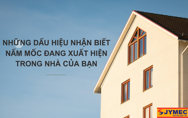 Dấu hiệu nhận biết nấm mốc đang xuất hiện trong nhà bạn