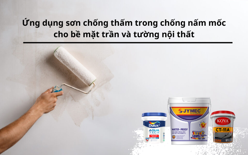 Ứng dụng sơn chống nấm mốc nội thất