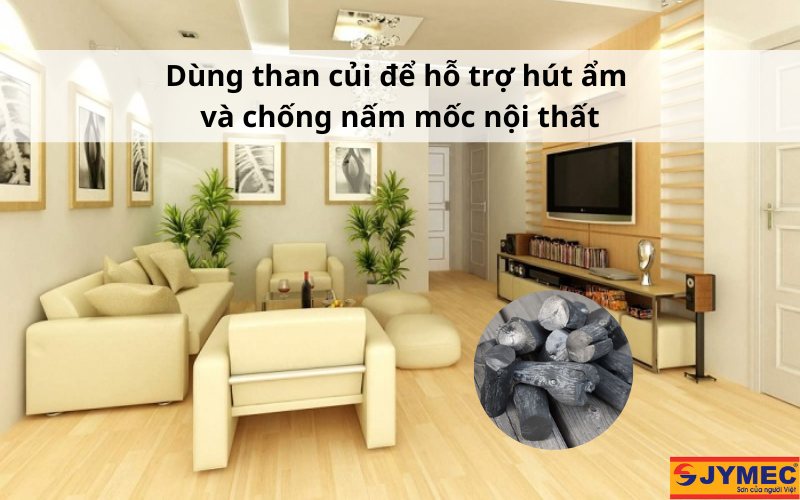 Dùng than củi chống nấm mốc nội thất