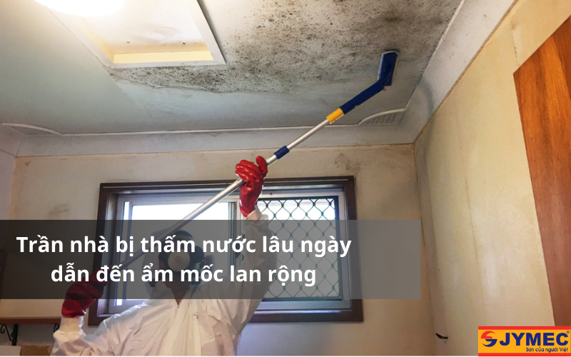 Hiện tượng mốc đen trên trần nhà