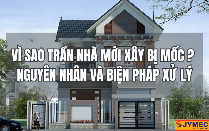 Trần nhà mới xây bị mốc: Nguyên nhân, biện pháp xử lý hiệu quả