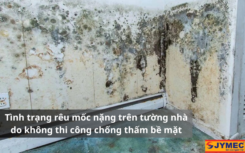 Tình trạng nêu mốc nặng tường nhà