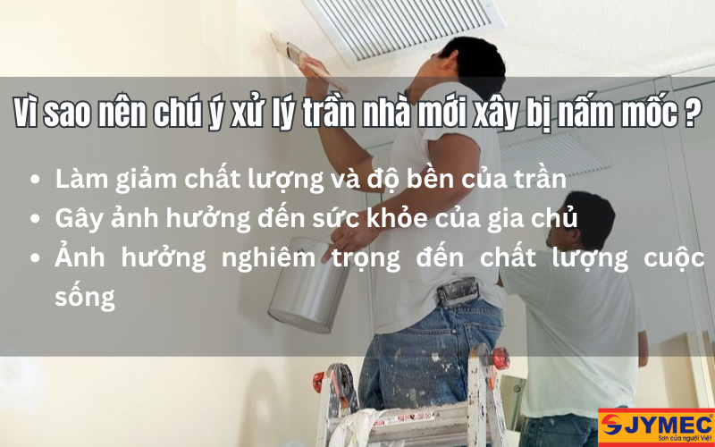 Chú ý xử lý nấm mốc ở trần nhà mới xây