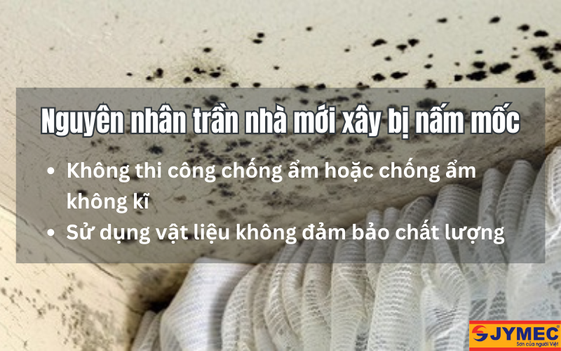 Nguyên nhân trần nhà mới xây bị mốc