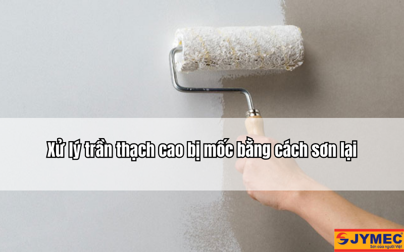 Sử dụng sơn chống nấm mốc trần thạch cao