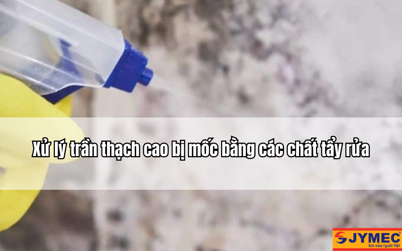 Sử dụng các chất tẩy nấm mốc hiệu quả