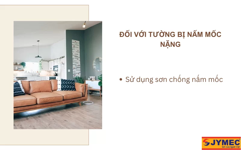 Xử lý sơn chống nấm mốc đối với tường bị nấm mốc nặng 