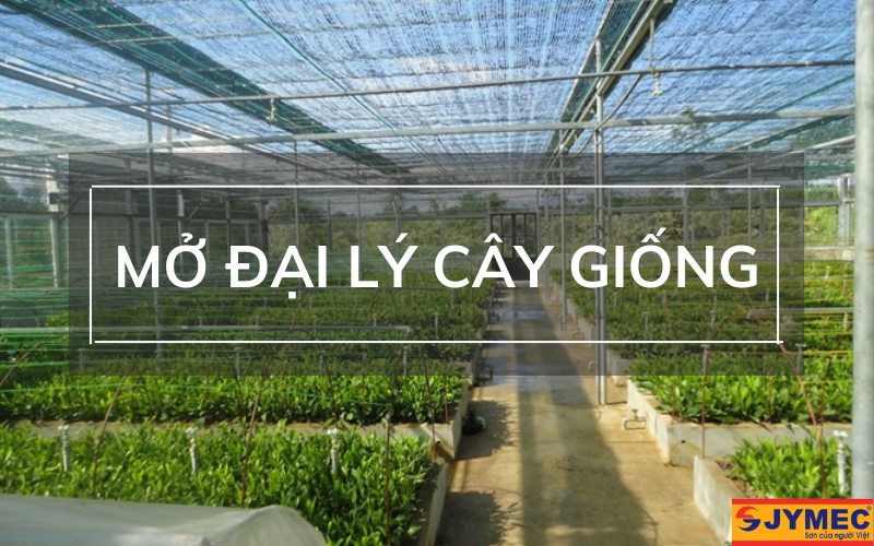 Mở đại lý cây giống ở nông thôn