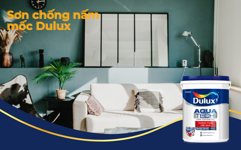 Sơn chống nấm mốc hãng Dulux