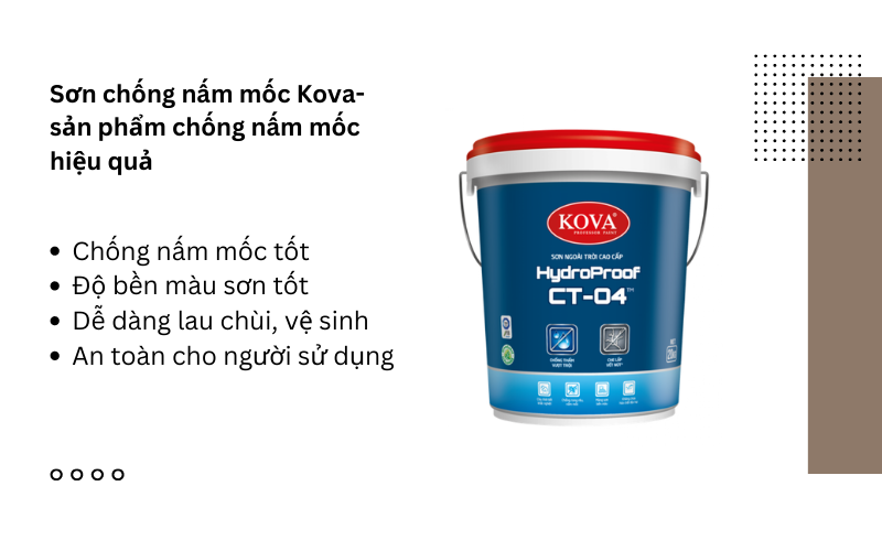 Sơn Kova giúp bảo vệ tường tốt khỏi nấm mốc