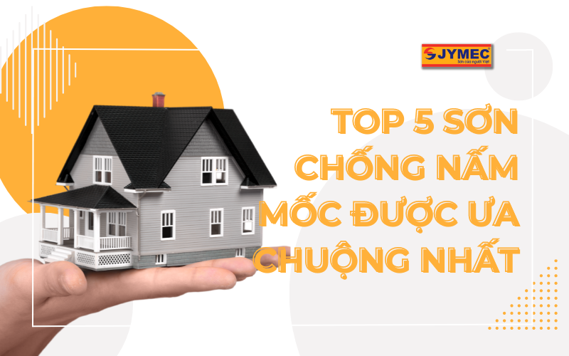 Top 5 Sơn chống nấm mốc tốt nhất 2023