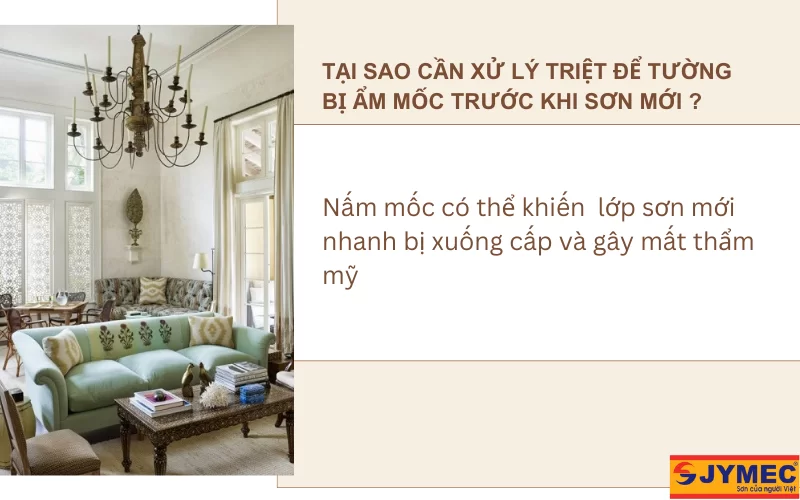 Tại sao cần xử lý lớp sơn bị nấm mốc trước khi sơn mới ?