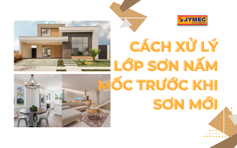 Xử lý lớp sơn bị nấm mốc trước khi sơn mới