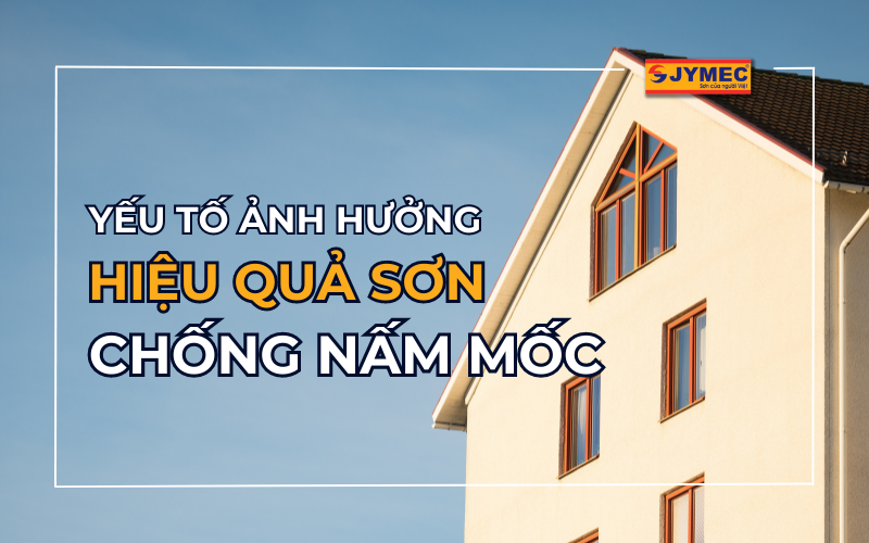 Các yếu tố ảnh hưởng hiệu quả của sơn chống nấm mốc