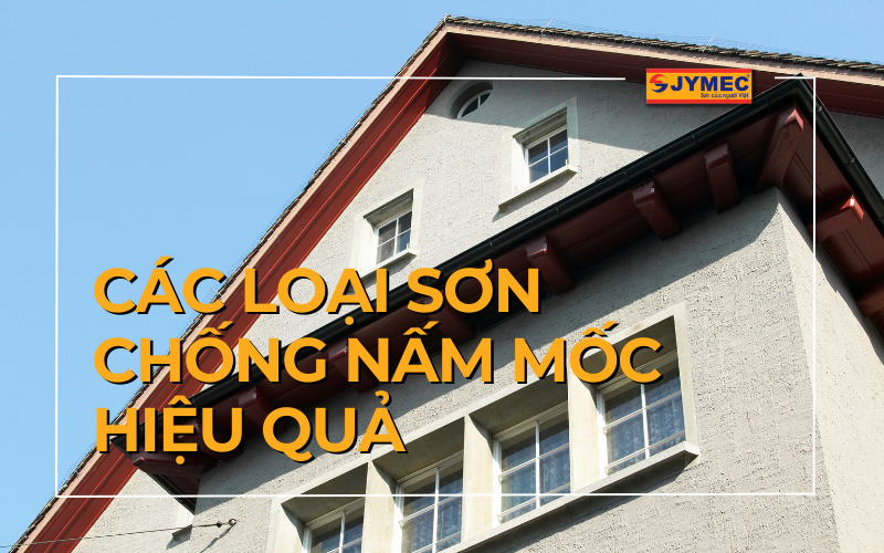 5 Hãng sơn chống nấm mốc ngoài trời tốt nhất 2023