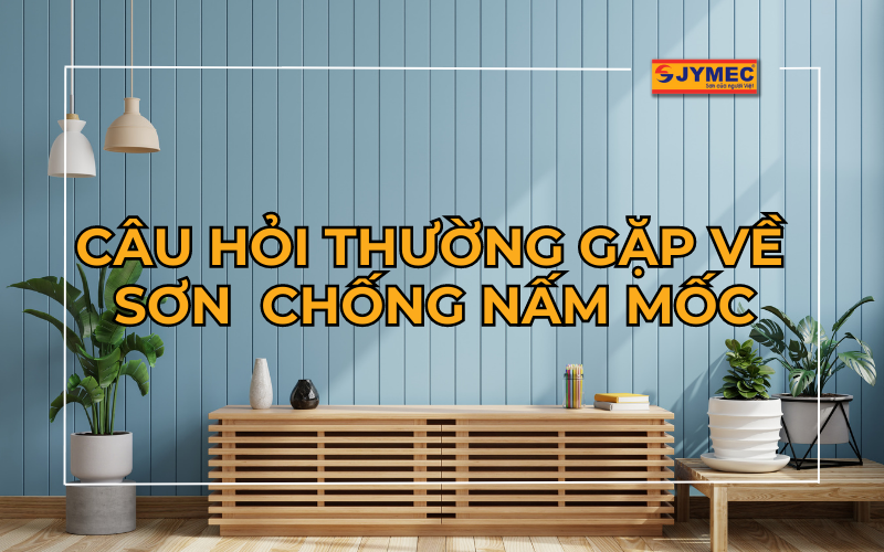 [Giải đáp] Các câu hỏi thường gặp về sơn chống nấm mốc