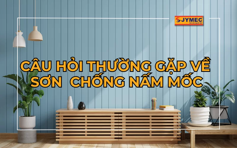 [Giải đáp] Các câu hỏi thường gặp về sơn chống nấm mốc