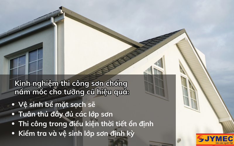 Kinh nghiệm thi công sơn chống nấm mốc cho tường cũ hiệu quả