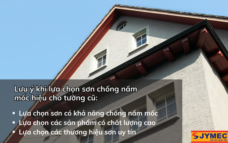 Lưu ý khi lựa chọn sơn chống nấm mốc cho tường cũ