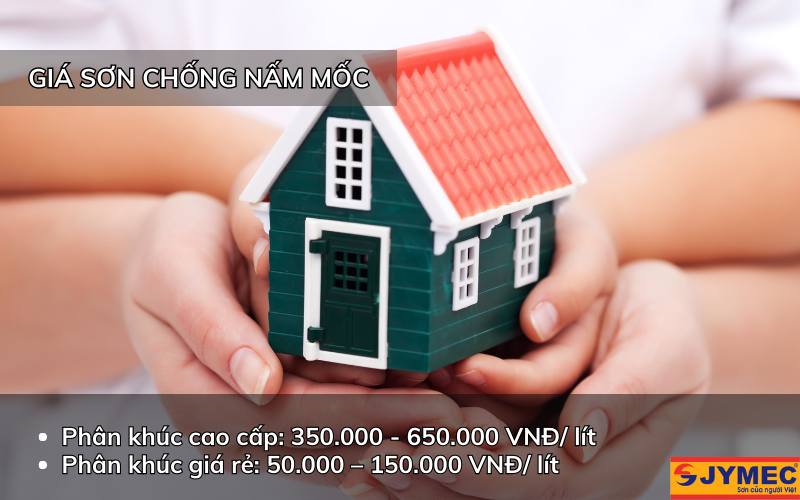 Phân khúc sơn chống nấm mốc trên thị trường hiện nay