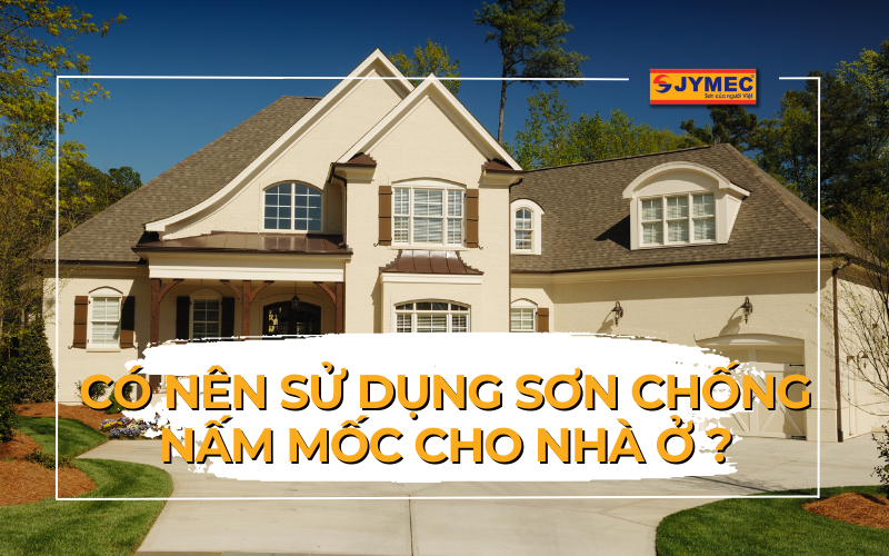 Có nên sử dụng sơn chống nấm mốc cho nhà ở