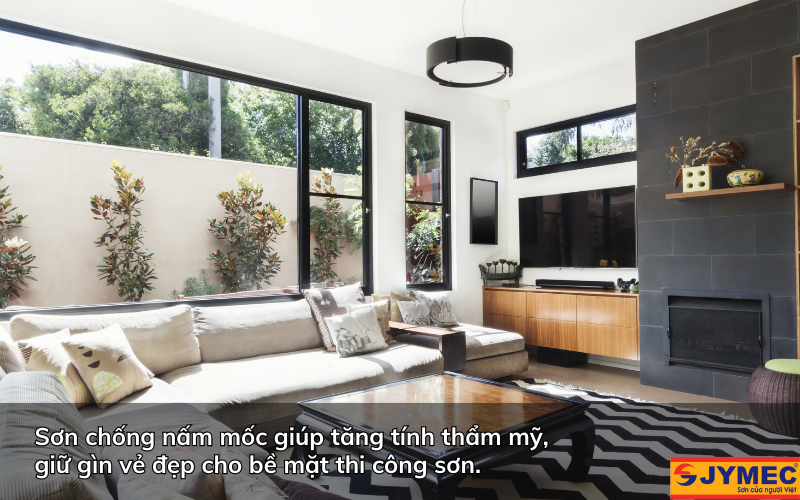 Sơn chống nấm mốc có ảnh hưởng tới tính thẩm mỹ không