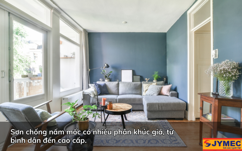 Sơn chống nấm mốc có đắt không