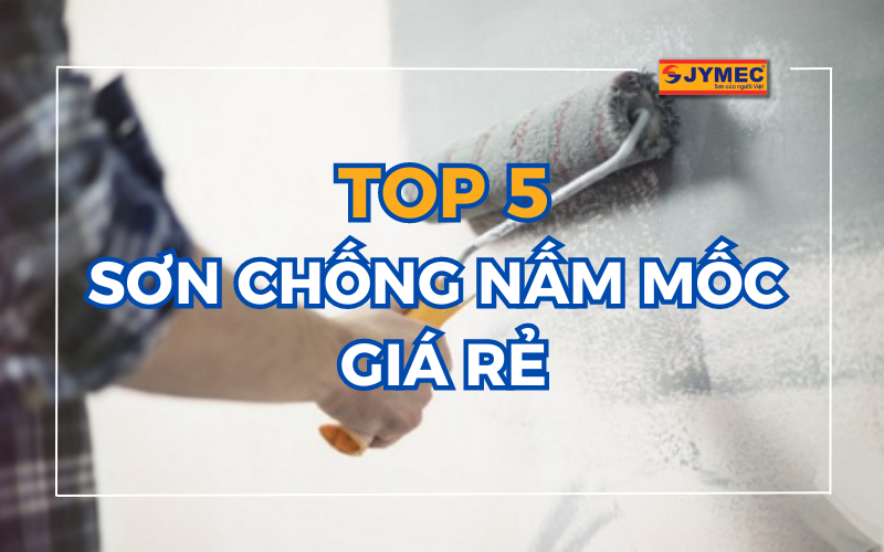 TOP 5 sơn chống nấm mốc giá rẻ uy tín trên thị trường hiện nay