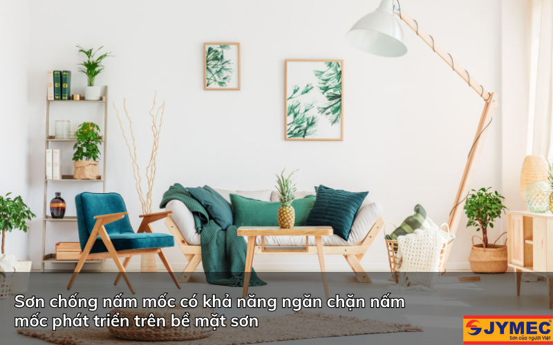 Sơn chống nấm mốc là gì