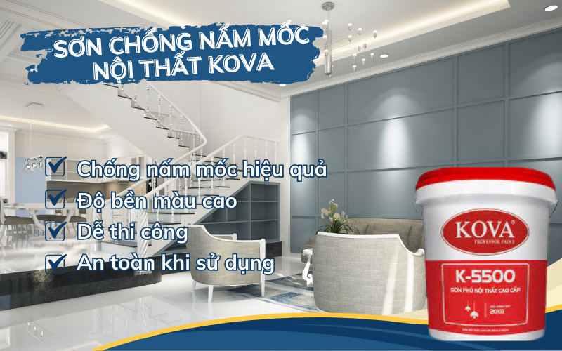 Sơn chống nấm mốc Kova