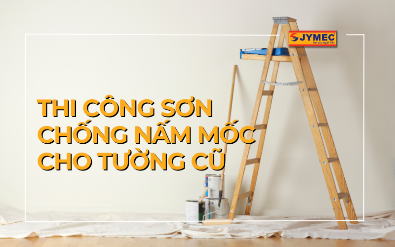 Sơn chống nấm mốc cho tường cũ như thế nào?