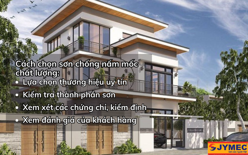Chọn sơn chống nấm mốc hiệu quả Chọn sơn chống nấm mốc hiệu quả