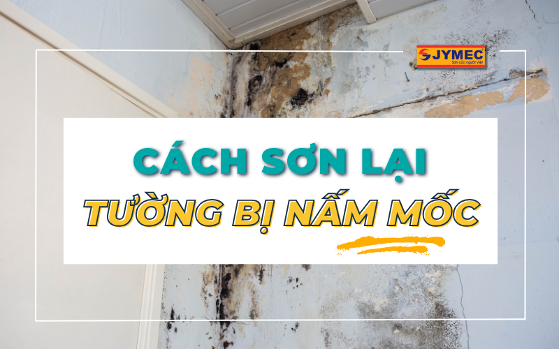 Cách sơn lại tường bị nấm mốc hiệu quả, đẹp như mới