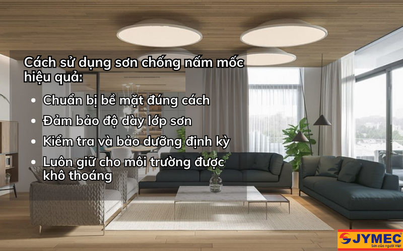Cách sử dụng sơn chống nấm mốc hiệu quả Cách sử dụng sơn chống nấm mốc hiệu quả