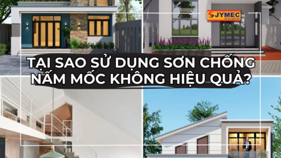 Tại sao sử dụng sơn chống nấm mốc không hiệu quả?