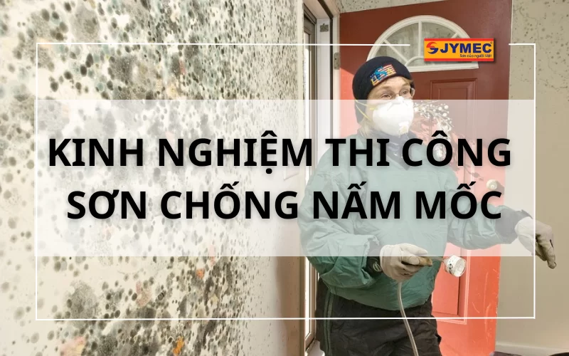 5 Kinh nghiệm thi công sơn chống nấm mốc hiệu quả nhất