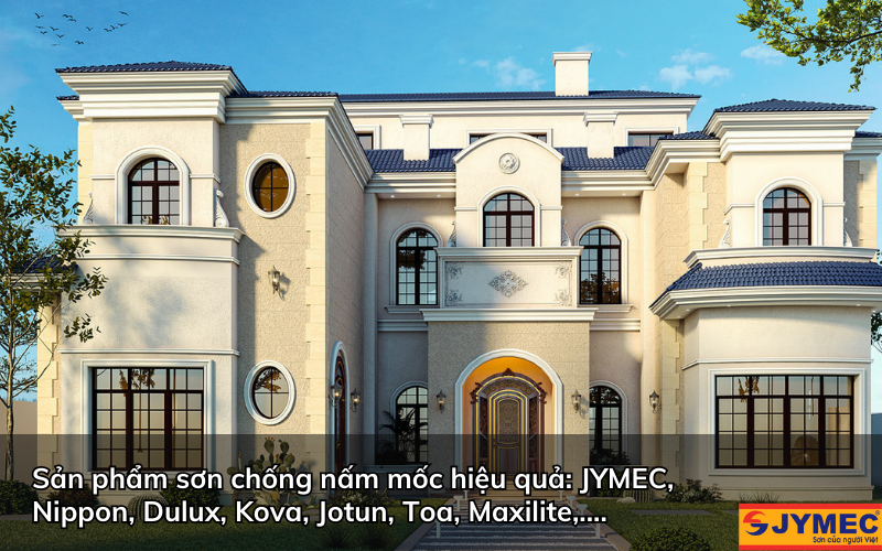 Một số sản phẩm sơn chống nấm mốc chất lượng Một số sản phẩm sơn chống nấm mốc chất lượng