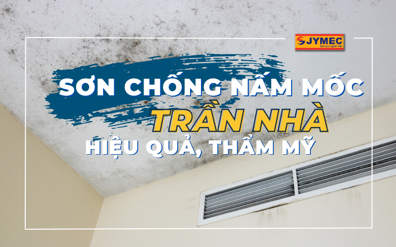 Sơn chống nấm mốc trần nhà hiệu quả, thẩm mỹ