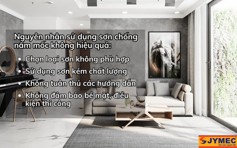 Tại sao việc sử dụng sơn chống nấm mốc không hiệu quả? Tại sao việc sử dụng sơn chống nấm mốc không hiệu quả?