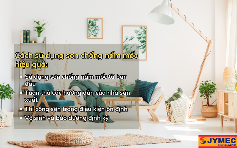 Cách sử dụng sơn chống nấm mốc hiệu quả