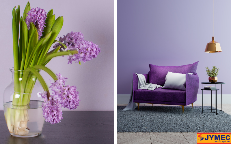 Không gian nội thất màu tím trang nhã, hiện đại