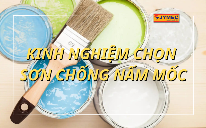 Kinh nghiệm chọn sơn chống nấm mốc theo chuyên gia