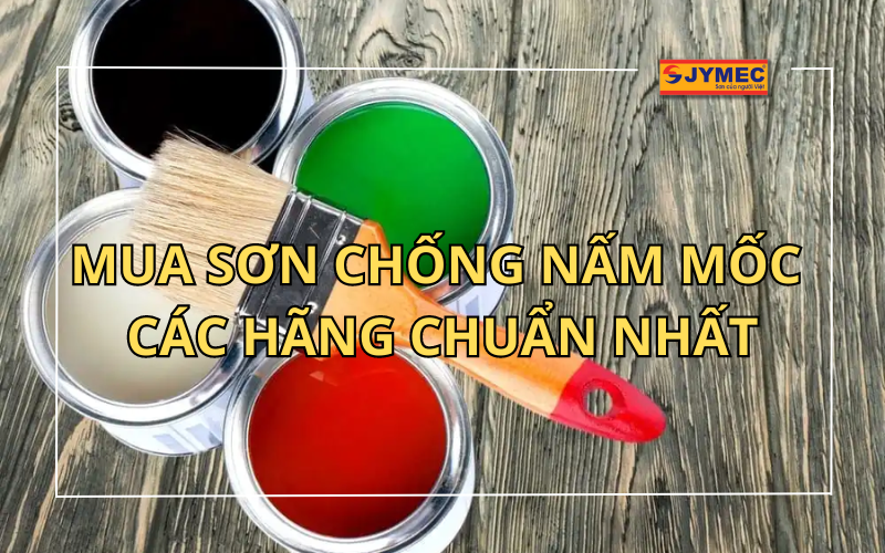 Cách mua sơn chống nấm mốc các hãng giá tốt nhất