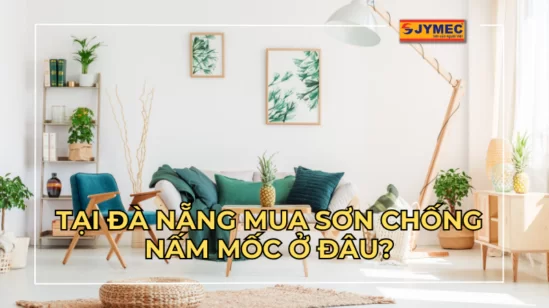 Tại Đà Nẵng mua sơn chống nấm mốc ở đâu?