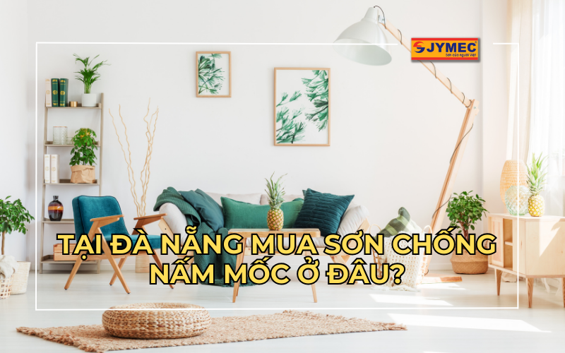 Tại Đà Nẵng mua sơn chống nấm mốc ở đâu?