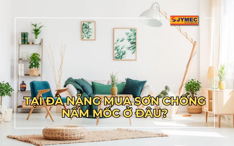 Tại Đà Nẵng mua sơn chống nấm mốc ở đâu?